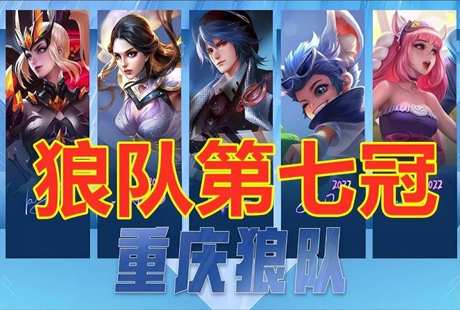 从收集到共